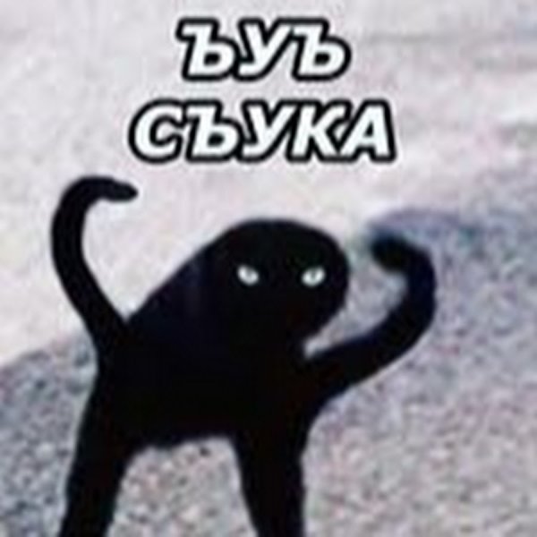 Кот Мем ЪУЪ