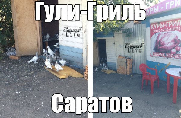 Не пытайтесь покинуть Саратов Мем