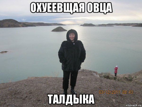 Тупая овца Мем