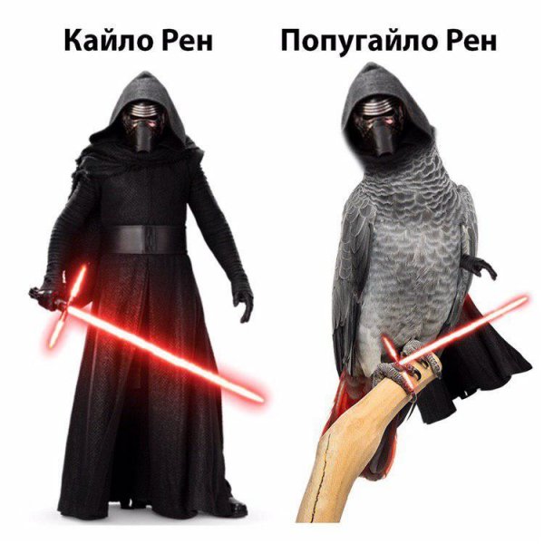 Кайло РЕН Ушастый