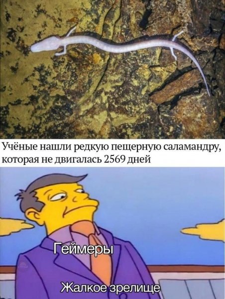 Жалкое зрелище Мем