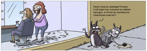 Жалкое зрелище