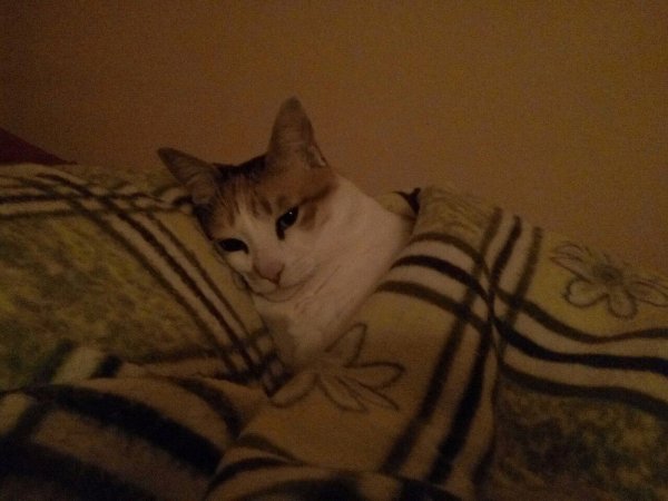 Оставь меня старушка я в печали