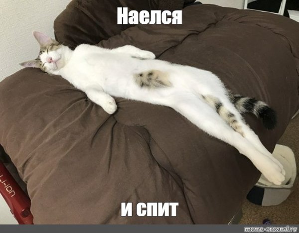 Объелся Мем