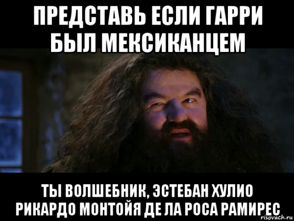 Ты волшебник Гарри мемы