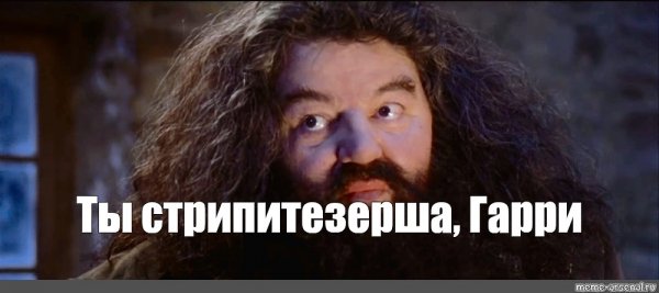 Хагрид Мем Гарри ты