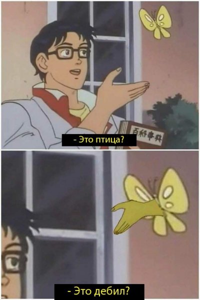 Is this a Pigeon аниме