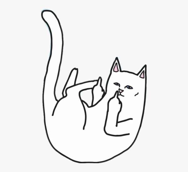 Кот с факом Мем