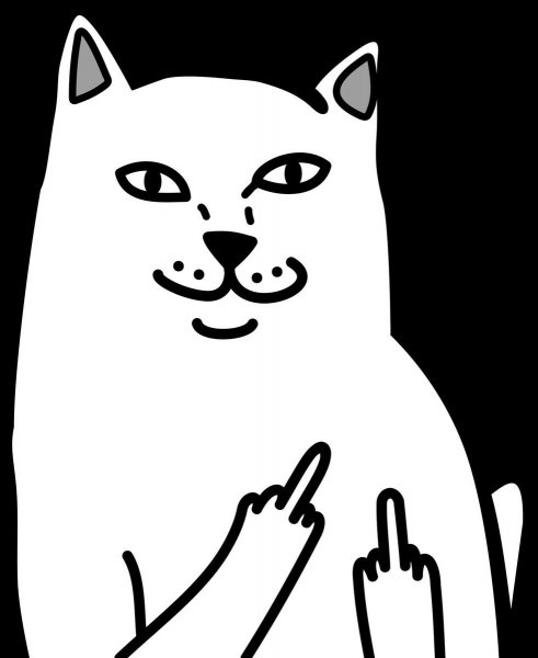 Коты мемы