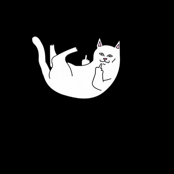Кот Минимализм