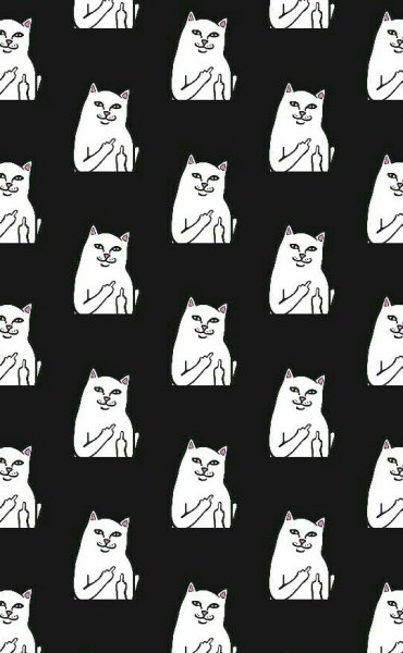 Много фак котов