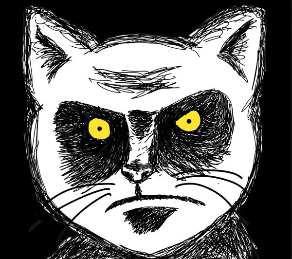 Кот из мемов