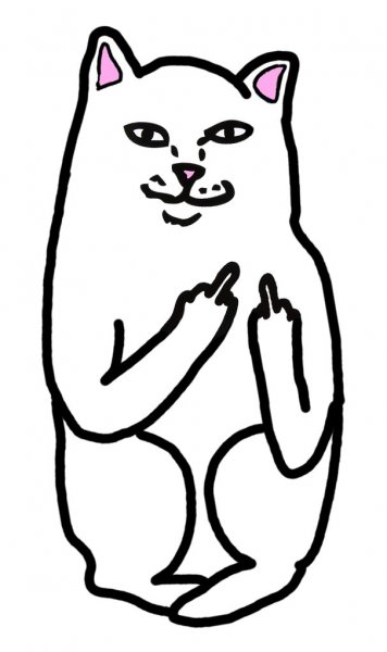 Кот с факом