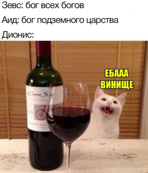 Кот с вином Мем
