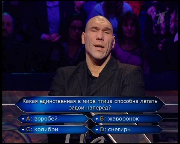 Кто хочет стать миллионером прикол