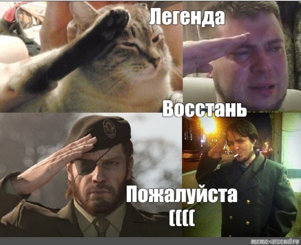 Отдает честь коллаж