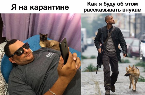 Юмор приколы мемы 2020