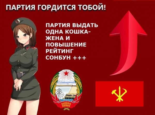 Партия выдать кошка жена