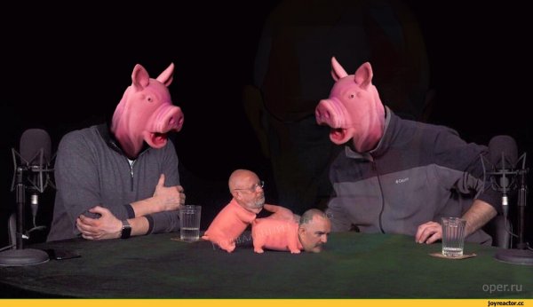 Клим Саныч свиньи