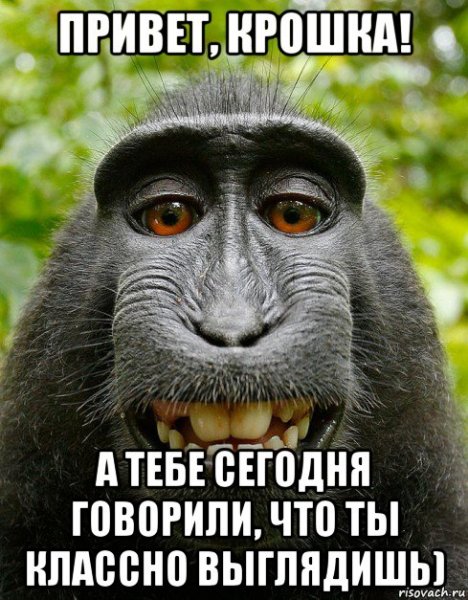 Привет крошка