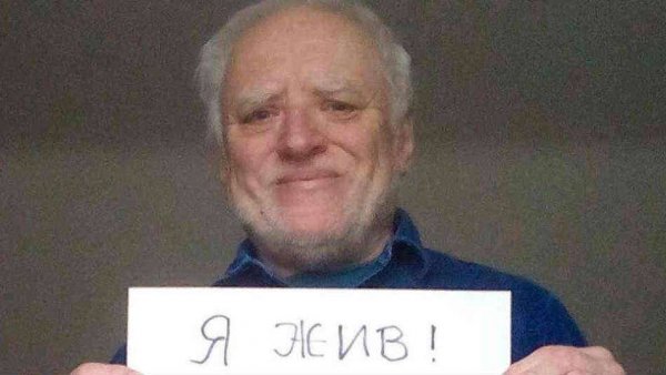 Лиса Мем