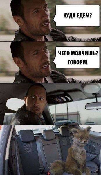 Куда едем Мем