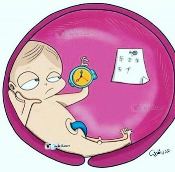 Приколы про роды и беременность