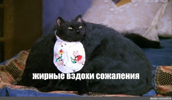 Жирные вздохи сожаления Мем кот