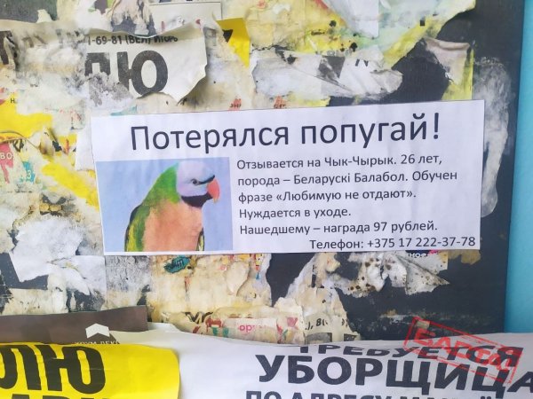 Лукашенко Воробей