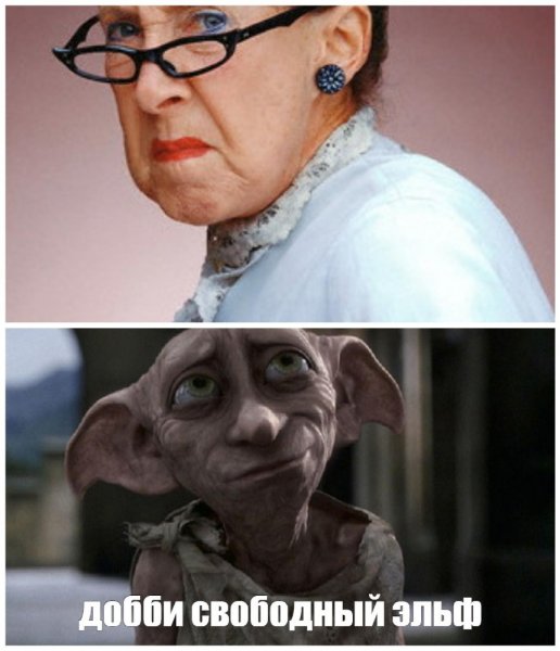 Мемы с Добби из Гарри Поттера