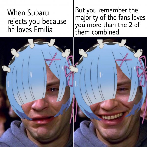 Ре Зеро я люблю Эмилию