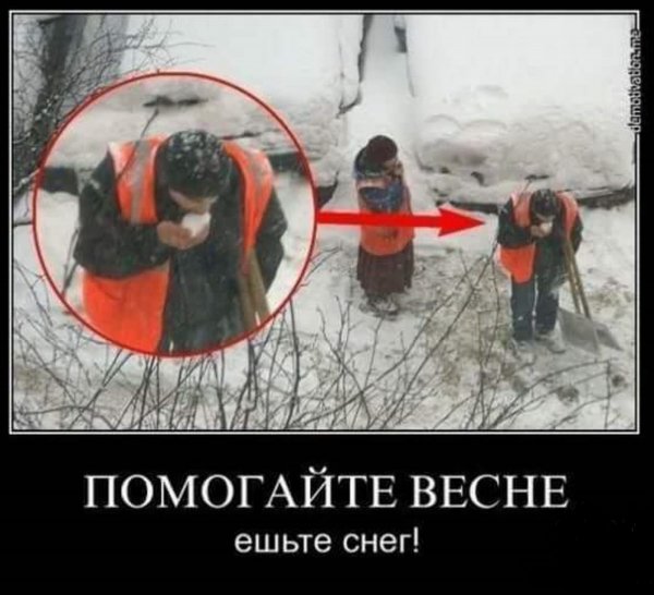 Помогай весне ешь снег