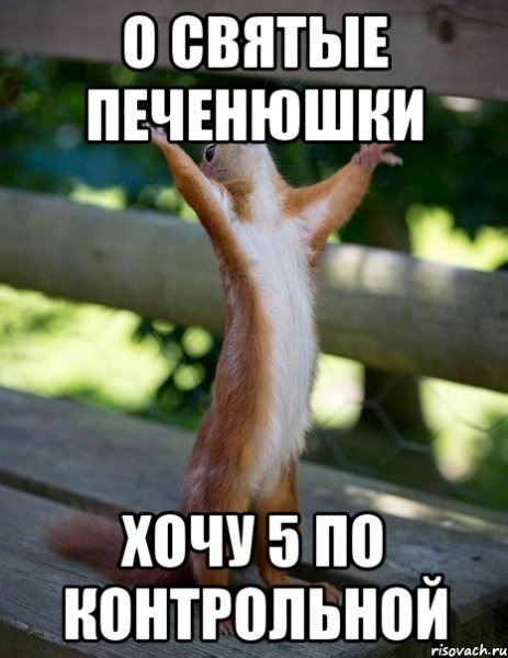 Мемы хочу пятерку