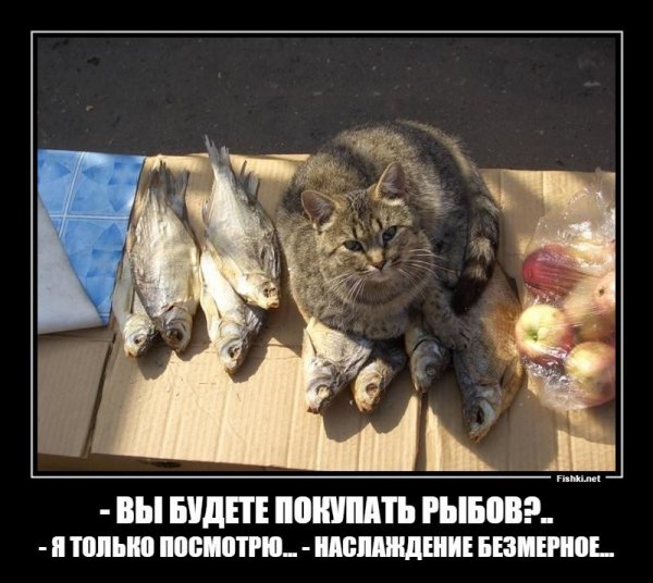 Продоёте Рыбов
