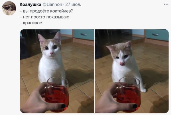 Вы продаете Рыбов