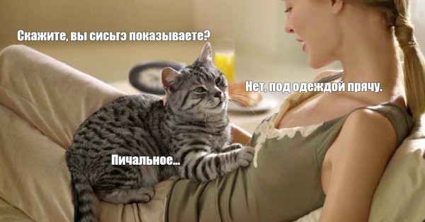 Коты вы продаете Рыбов