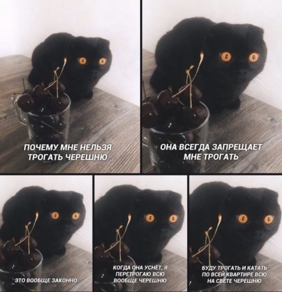 Мемы про Рыбов
