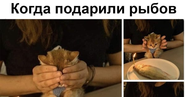 Рыбов продаете