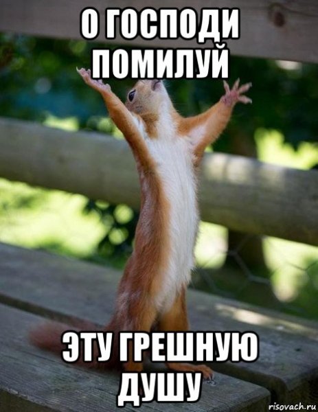 Белочка мемы