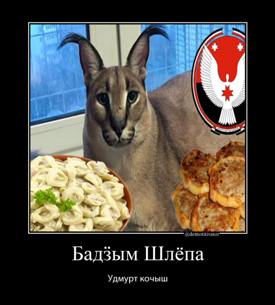 Большой Удмуртский кот шлёпа