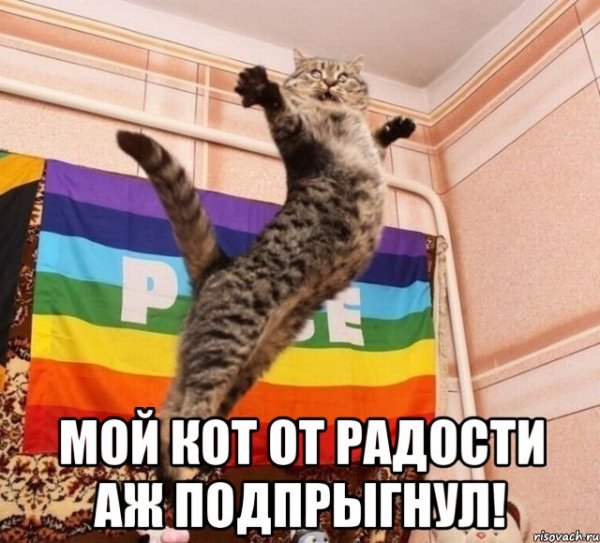 Мемы про мытье кота
