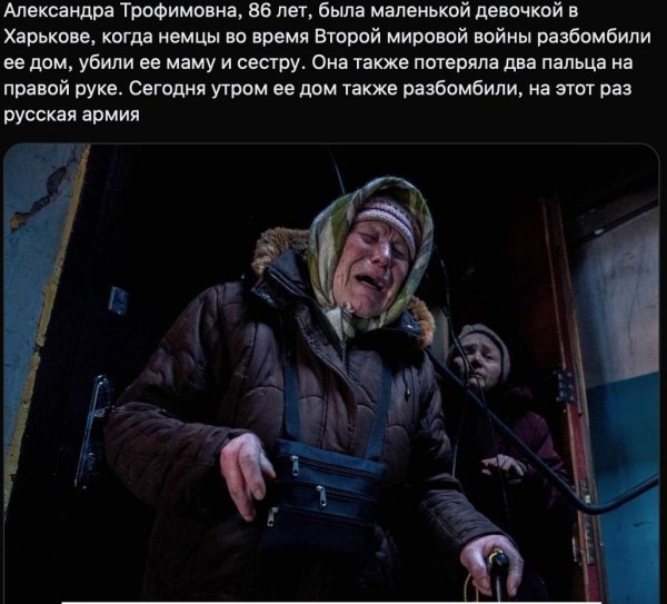 Котенок в сметане
