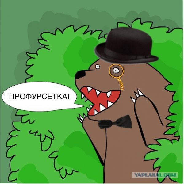 Профурсетка медведь из кустов