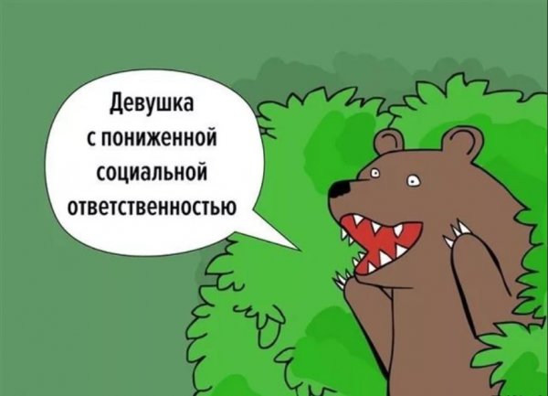 Медведь из кустов