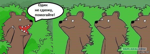 Мем медведь из кустов