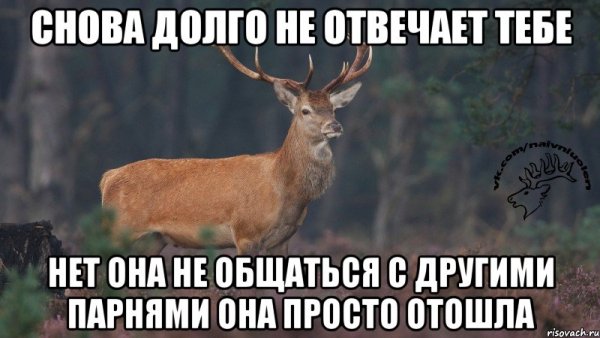 Олень мемы