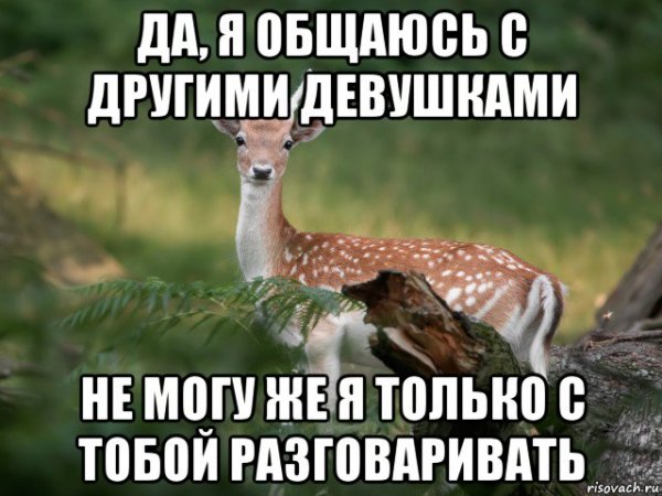 Переписывается с другой