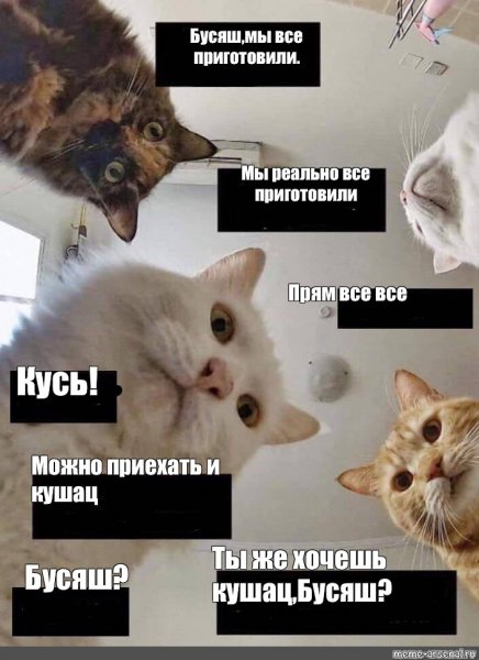 Кушац Мем кот