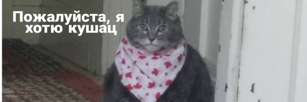 Толстый кот в платочке