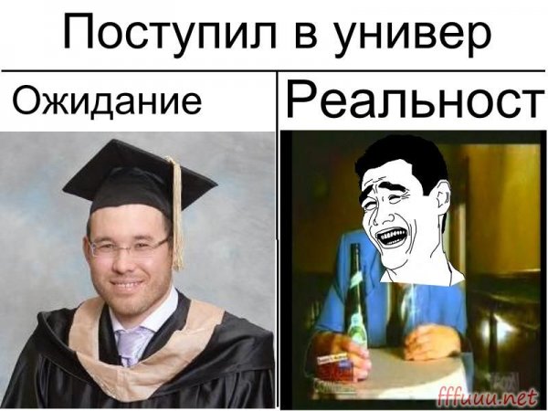 Учеба в университете ожидание реальность